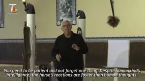 Collection of Mestre Luis Valença 50 years of classical riding (HD) - Image 8