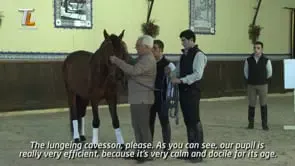 Collection of Mestre Luis Valença 50 years of classical riding (HD) - Image 9