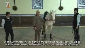 Collection of Mestre Luis Valença 50 years of classical riding (HD) - Image 10