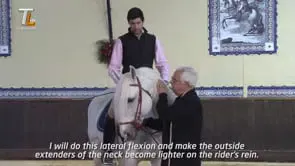 Collection of Mestre Luis Valença 50 years of classical riding (HD) - Image 12
