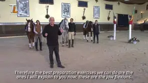 Collection of Mestre Luis Valença 50 years of classical riding (HD) - Image 14