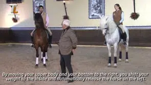 Collection of Mestre Luis Valença 50 years of classical riding (HD) - Image 15