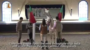 Collection of Mestre Luis Valença 50 years of classical riding (HD) - Image 17