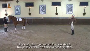 Collection of Mestre Luis Valença 50 years of classical riding (HD) - Image 18