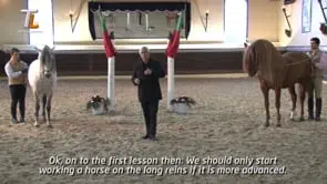 Collection of Mestre Luis Valença 50 years of classical riding (HD) - Image 19