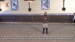 Collection of Mestre Luis Valença 50 years of classical riding (HD) - Image 21