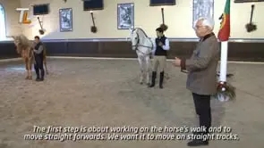 Collection of Mestre Luis Valença 50 years of classical riding (HD) - Image 3