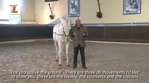 Collection of Mestre Luis Valença 50 years of classical riding (HD) - Image 7