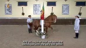 Collection of Mestre Luis Valença 50 years of classical riding (HD) - Image 5