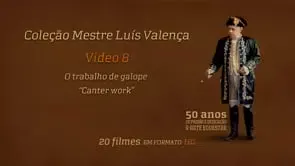 Collection of Mestre Luis Valença 50 years of classical riding (HD) - Image 6