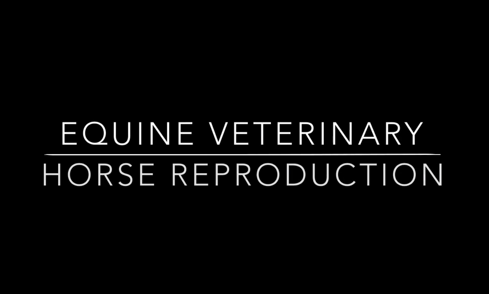Equine Veterinary The Valença Method