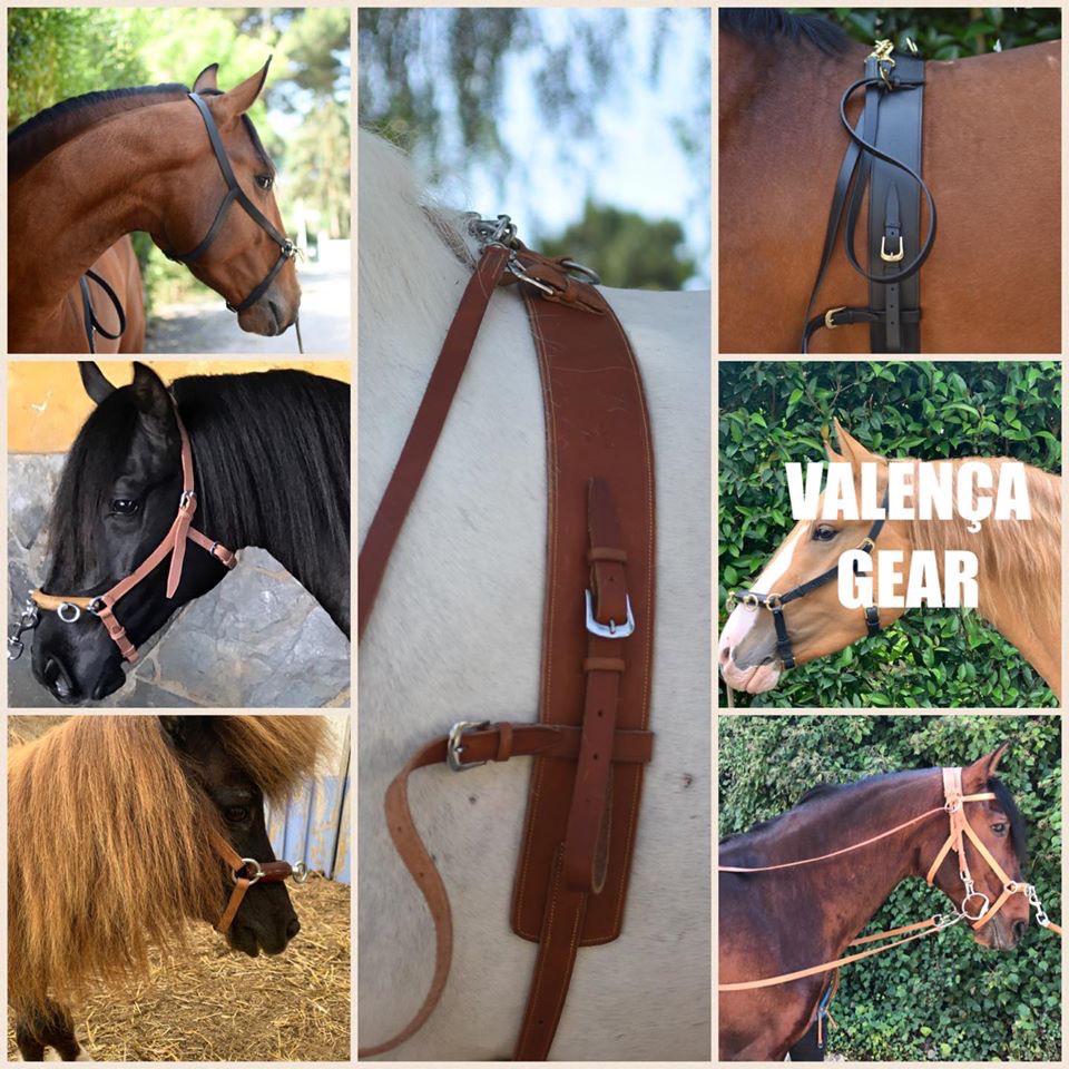 Valenca 3 Ring Cavesson & Surcingle set