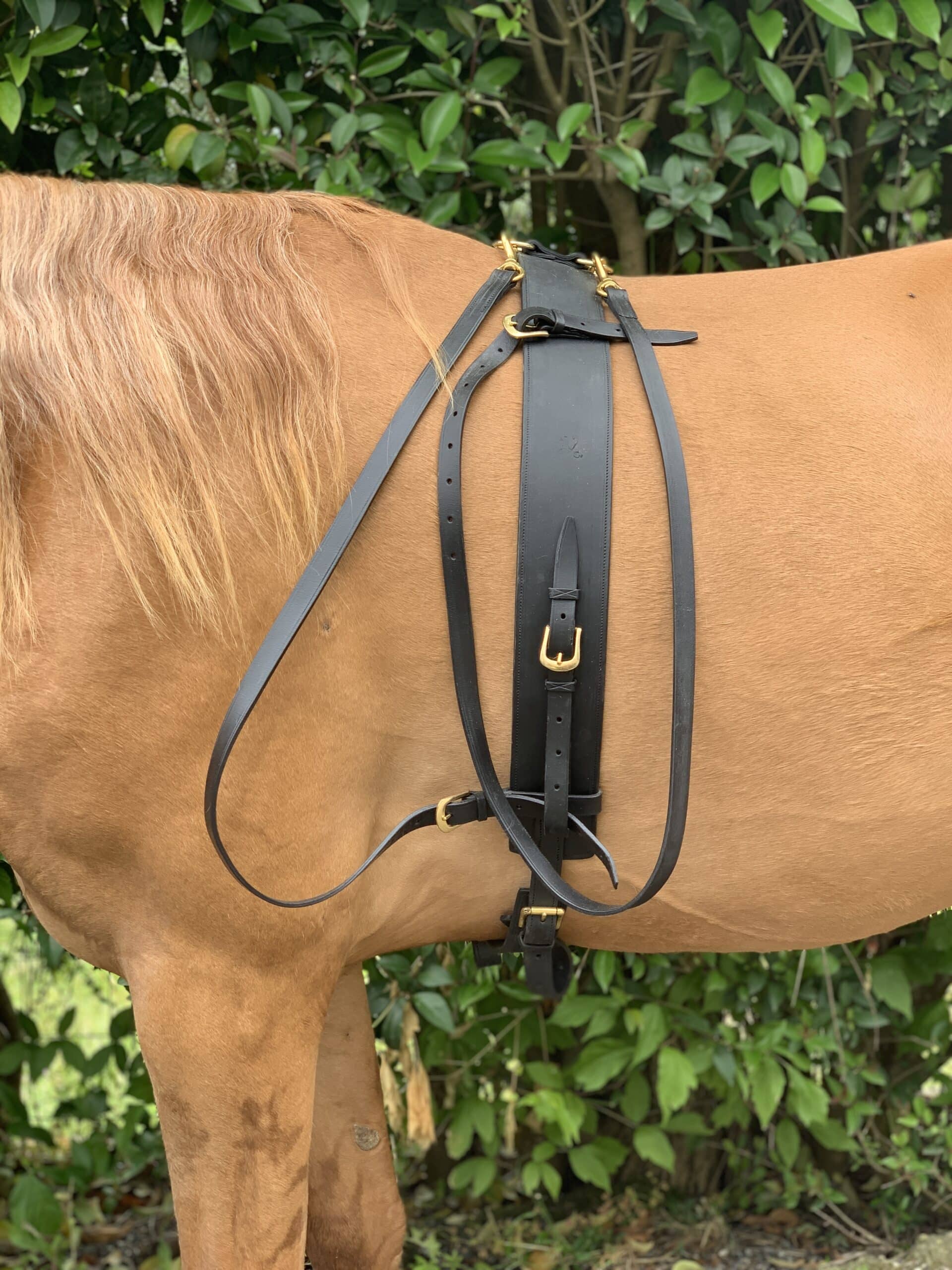 Valenca 3 Ring Cavesson & Surcingle set - Image 5