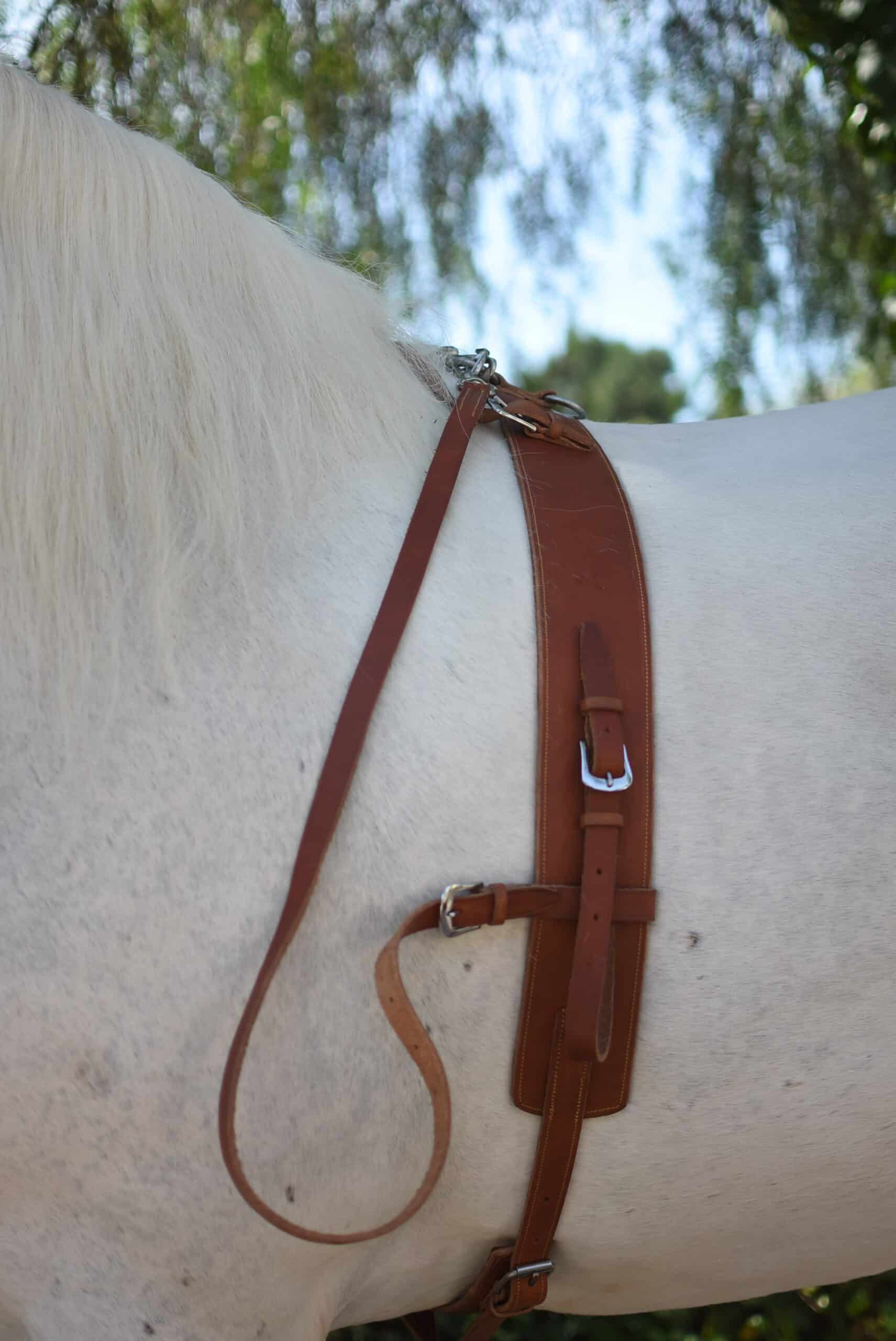 Valenca 3 Ring Cavesson & Surcingle set - Image 3