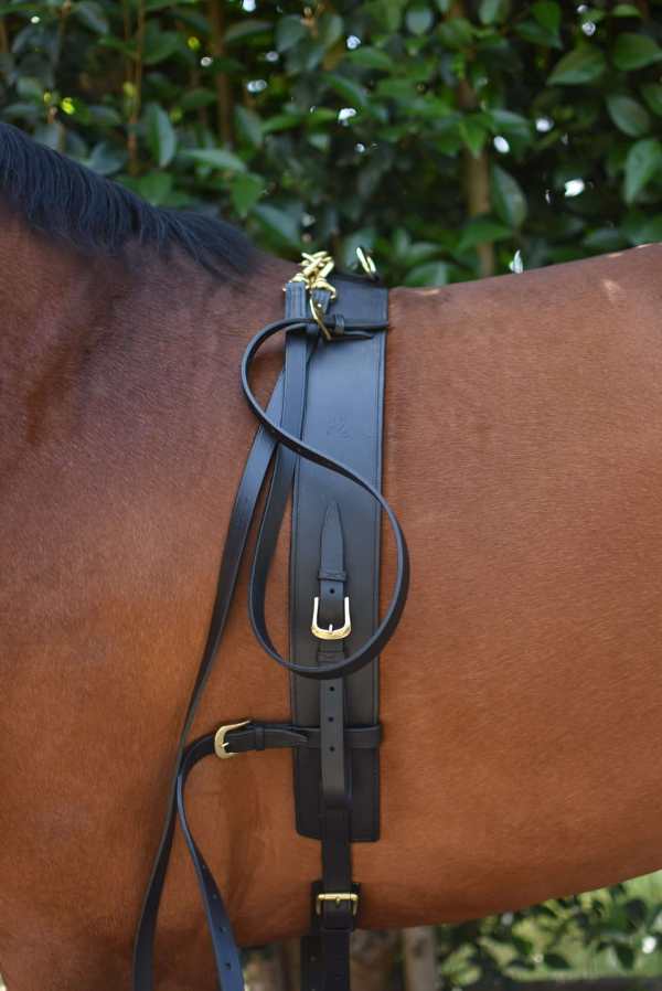 Valenca 3 Ring Cavesson & Surcingle set - Image 2